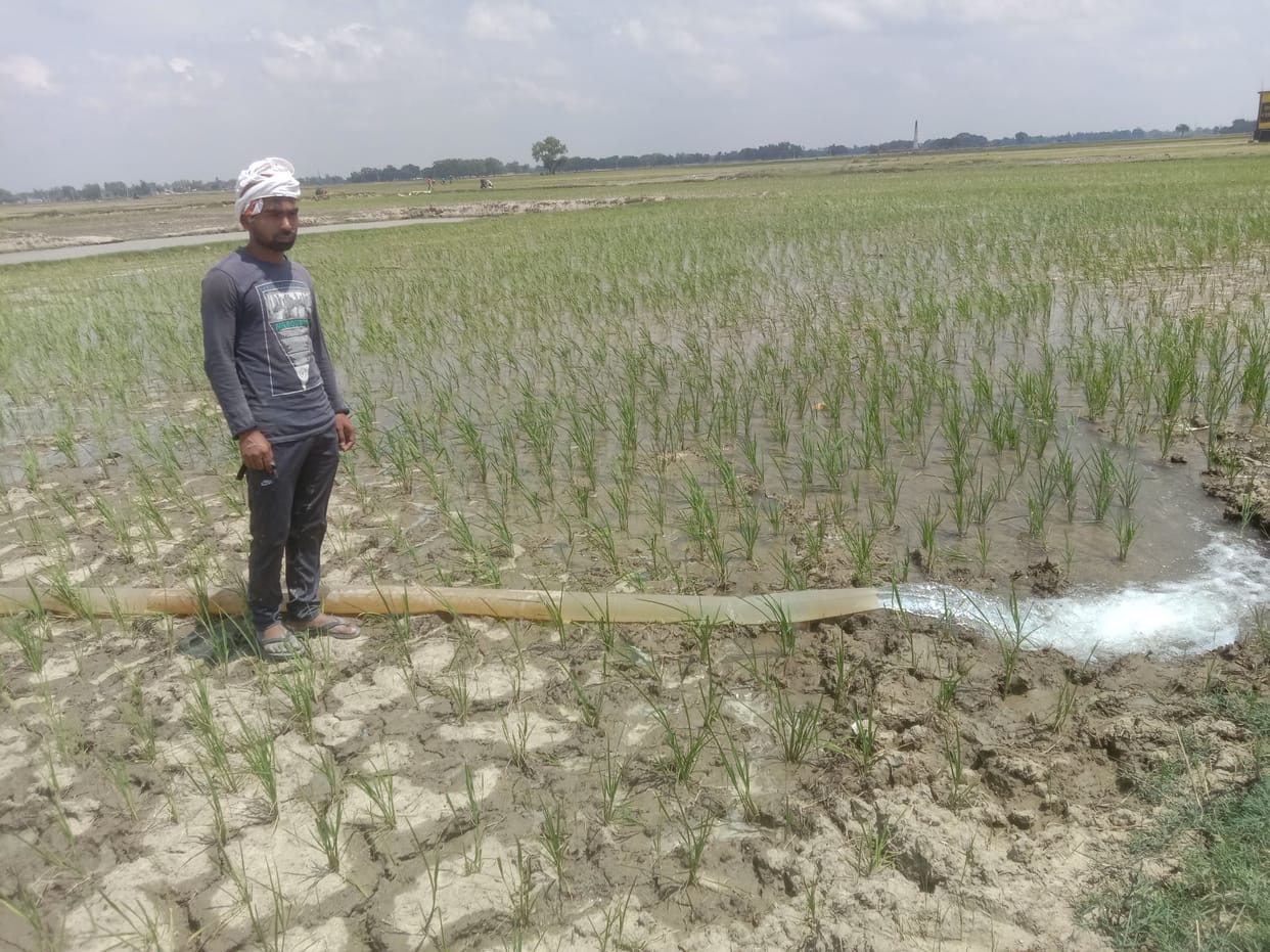 Disappointment among farmers due to indifference of weather