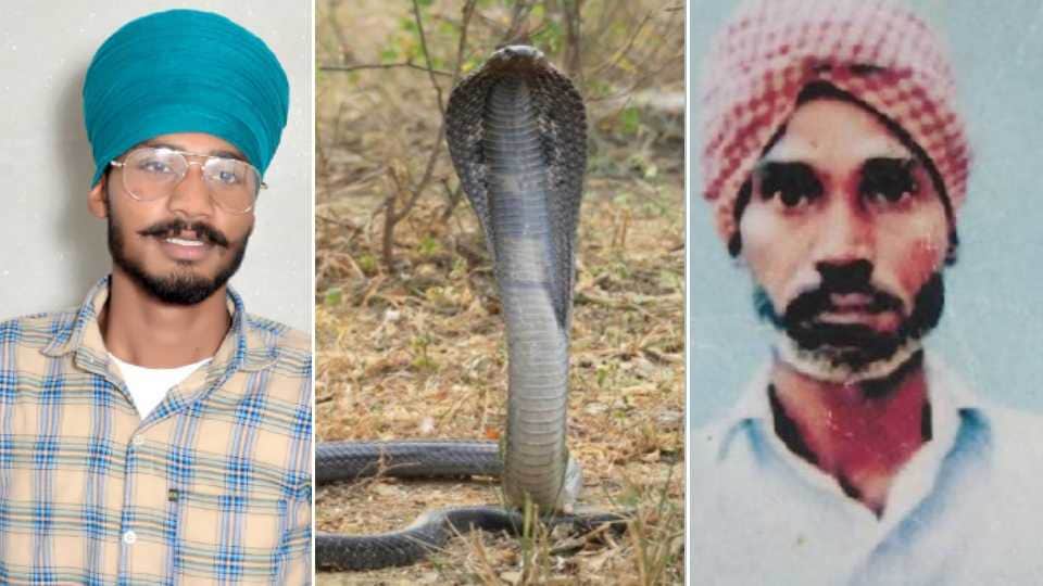 Father died of heart attack after son death due to snake bite in Punjab