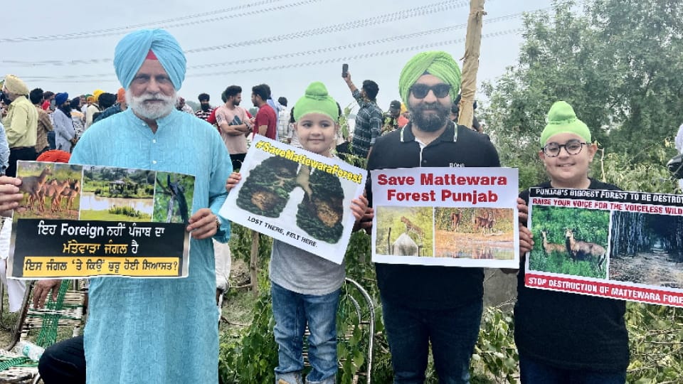 Punjab Government cancelled textile project in Mattewada Forest at Ludhiana 