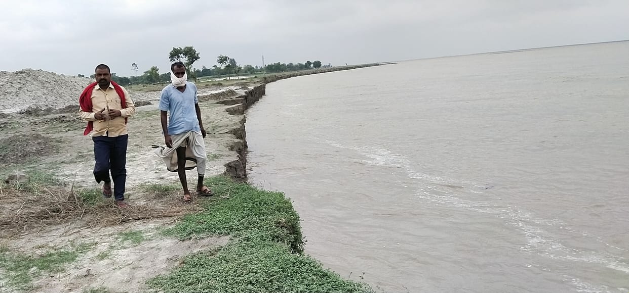 Harvesting intensified, 30 bighas of land covered in the river