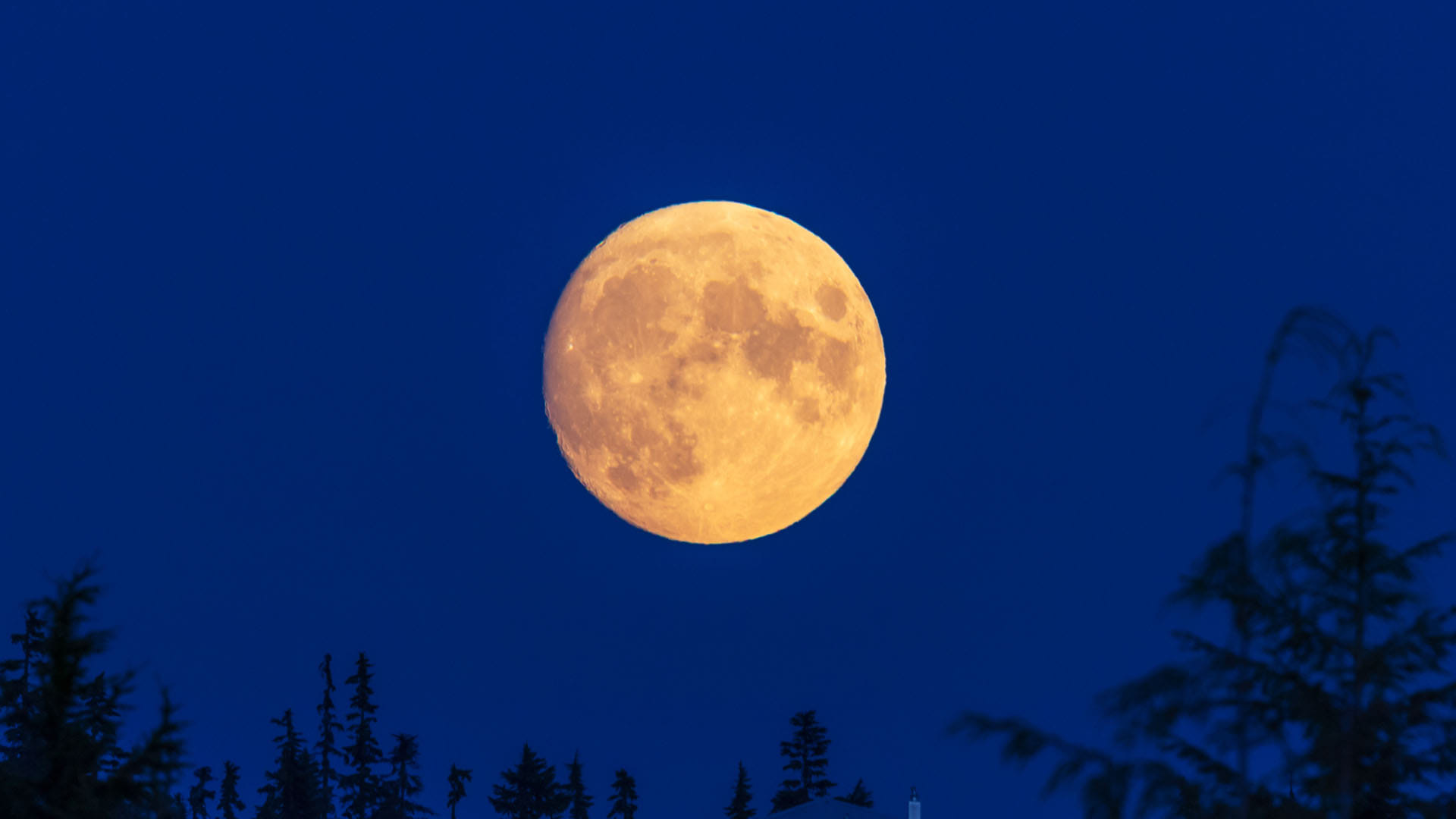 What Is Super Or Harvest Moon Why This Happen Know All Details Here
