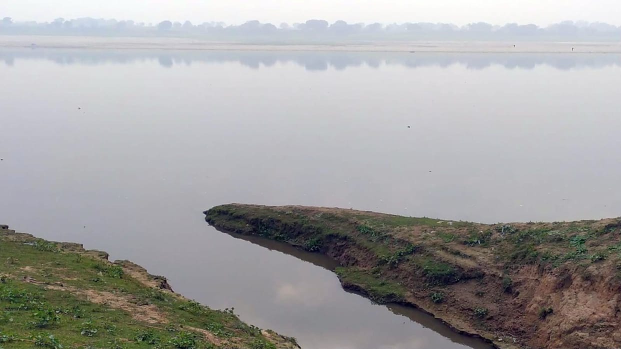 Sewerage water will be clean from micro-organisms and plants
