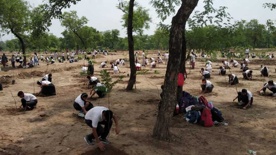 Children planted saplings in Chandigarh on Van Mahotsav