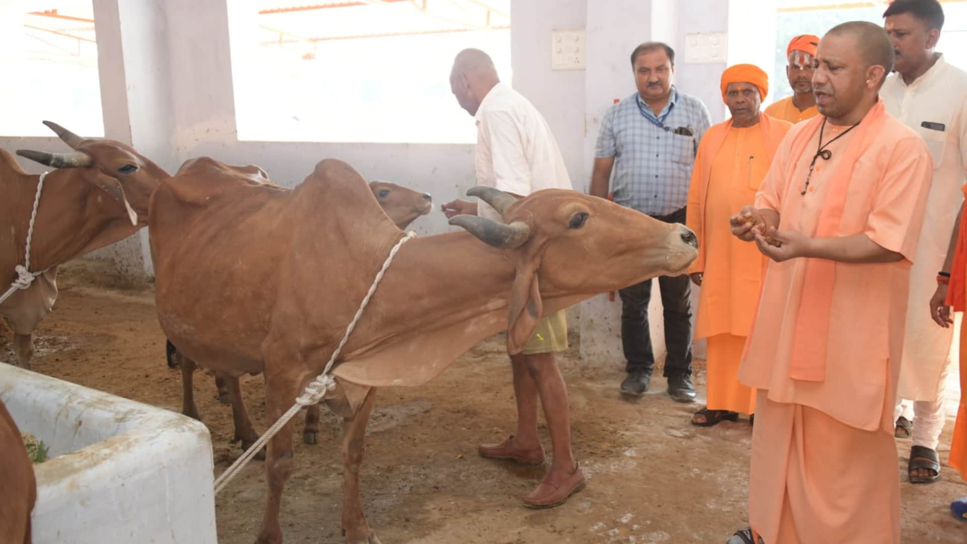 CM Yogi Adityanath listen complaint in Janata Darbar in Gorakhpur
