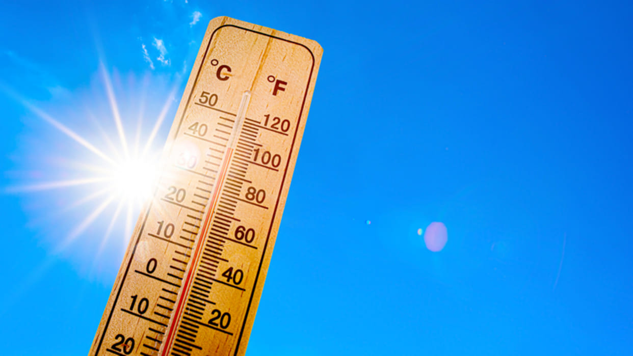 Punjab affected by change in weather patterns due to global warming