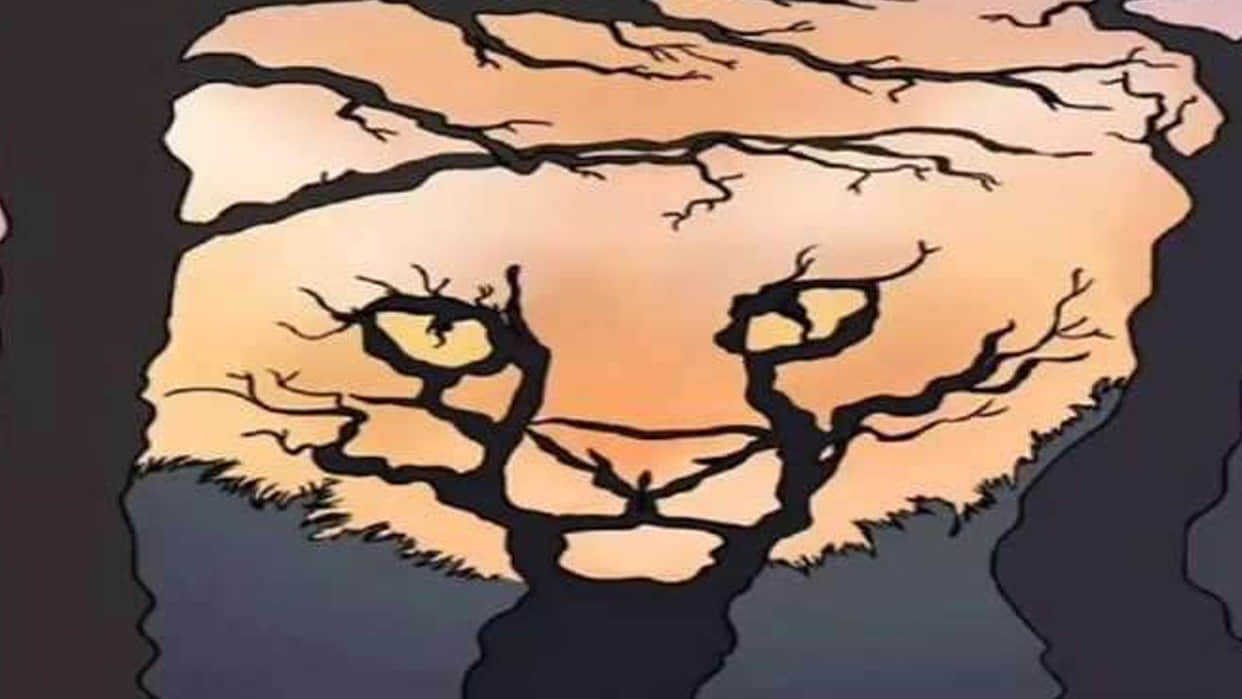 optical illusion personality test what did you see first in pic know about your personality psychologica google trends today
