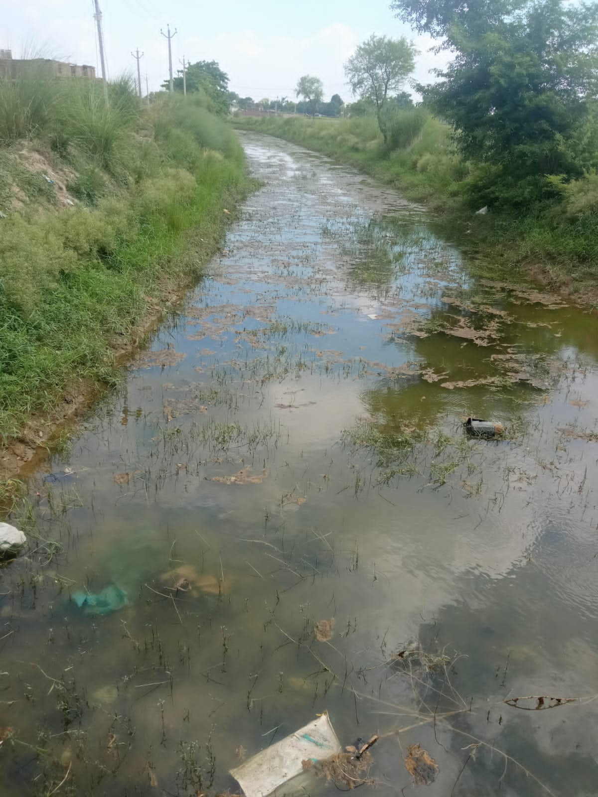 Water is not reaching the tail in most of the minors, paddy planting disrupted