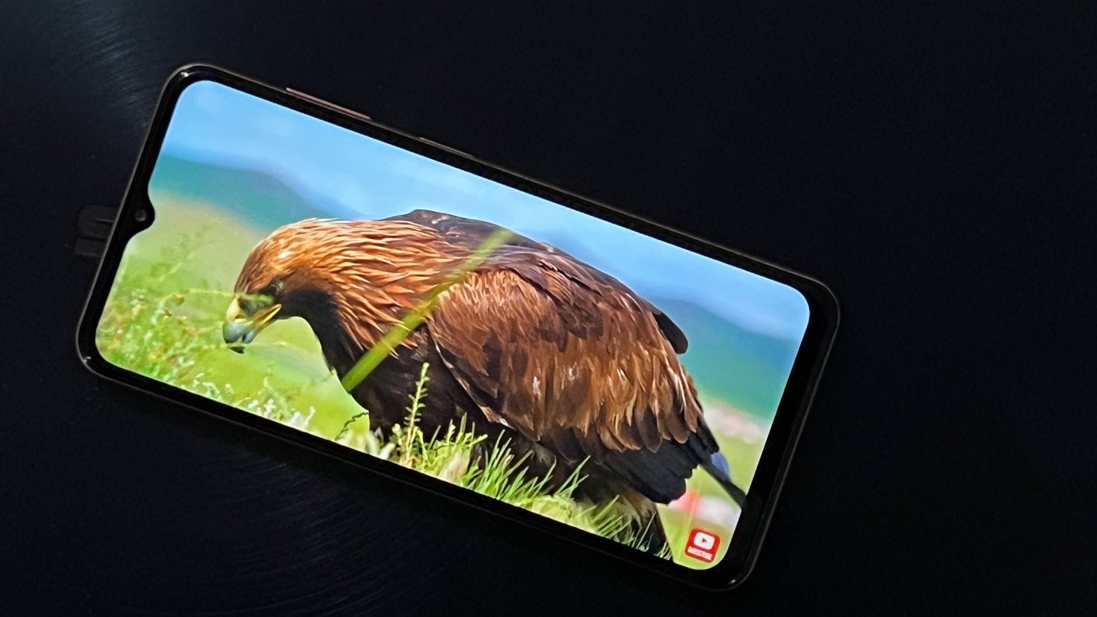 Samsung Galaxy F13