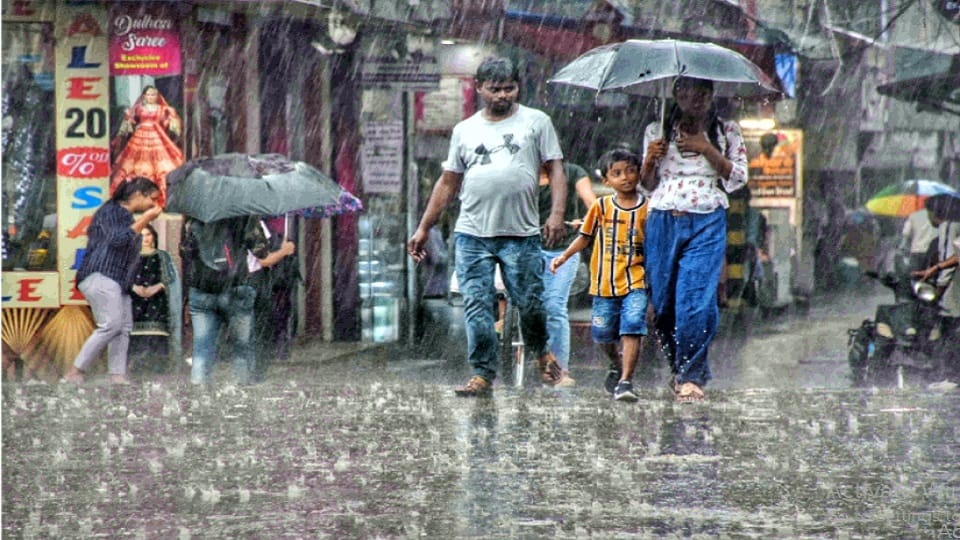 delhi weather forecast chance of rain in delhi on wednesday meteorological department issued yellow alert