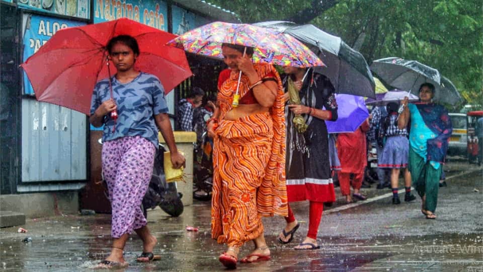 delhi weather forecast chance of rain for a week in delhi ncr
