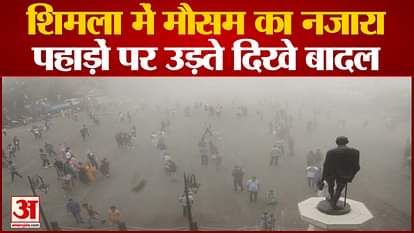 watch video scenic view of clouds in shimla himachal pradesh