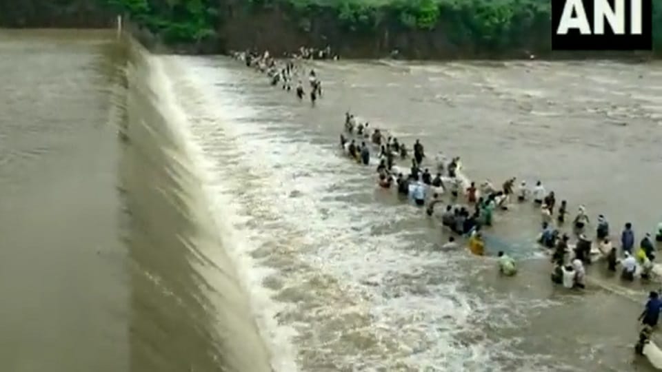 Maharashtra Flood, People are catching fish in the strong flow of the dam in Chandrapur Maharashtra