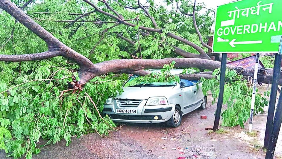 Tree fell on moving car during rain three people injured in Mathura