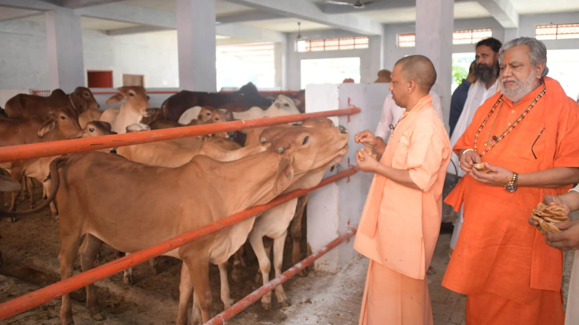 CM Yogi listened to complaint in Janata Darbar