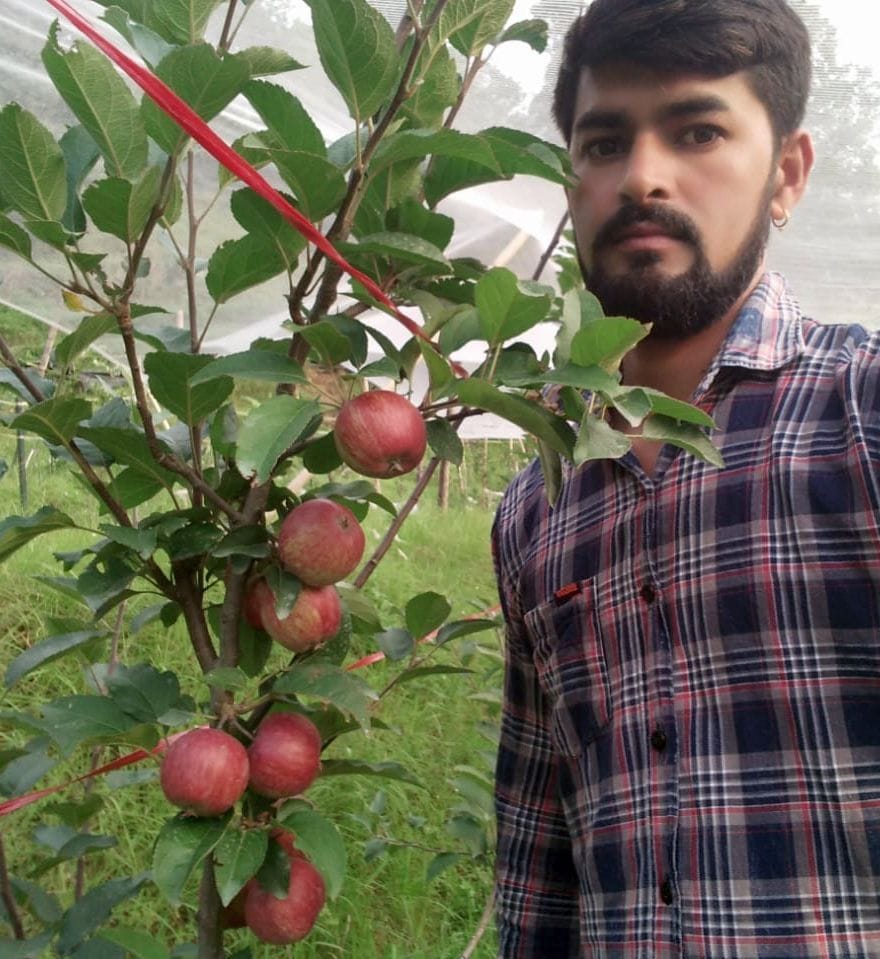 Apple Farming in Kanalichcheena