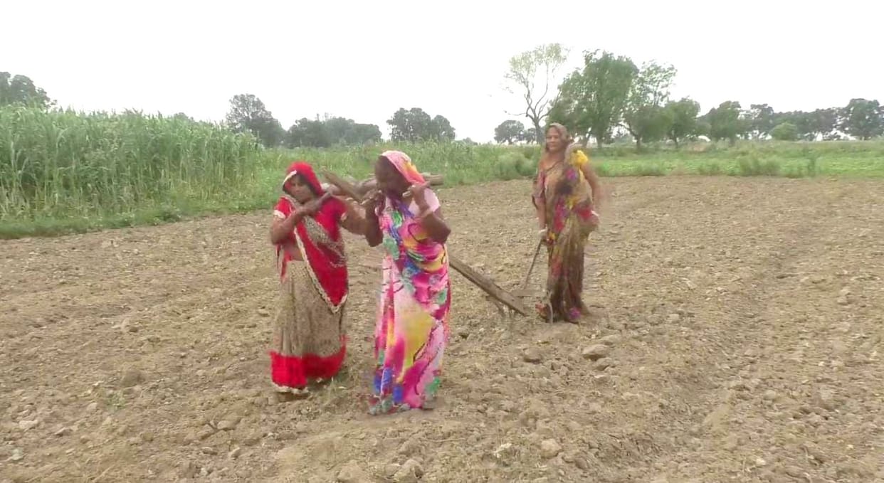 The help of tricks for rain in UP, Somewhere women are plowing the field with a plow,  somewhere children are asking for Leda