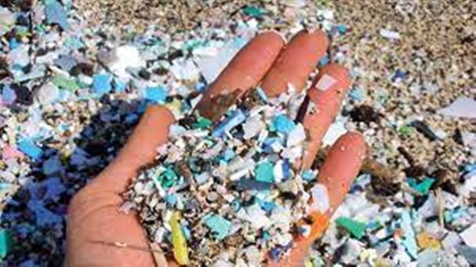 Micro plastic particles found in the fields of Bihar Risk of many serious diseases including cancer in humans