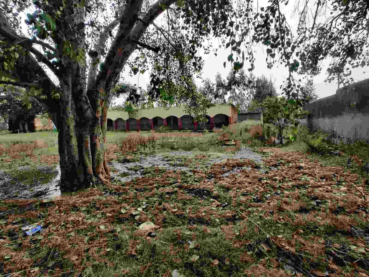 Students forced to study in stink, department helpless