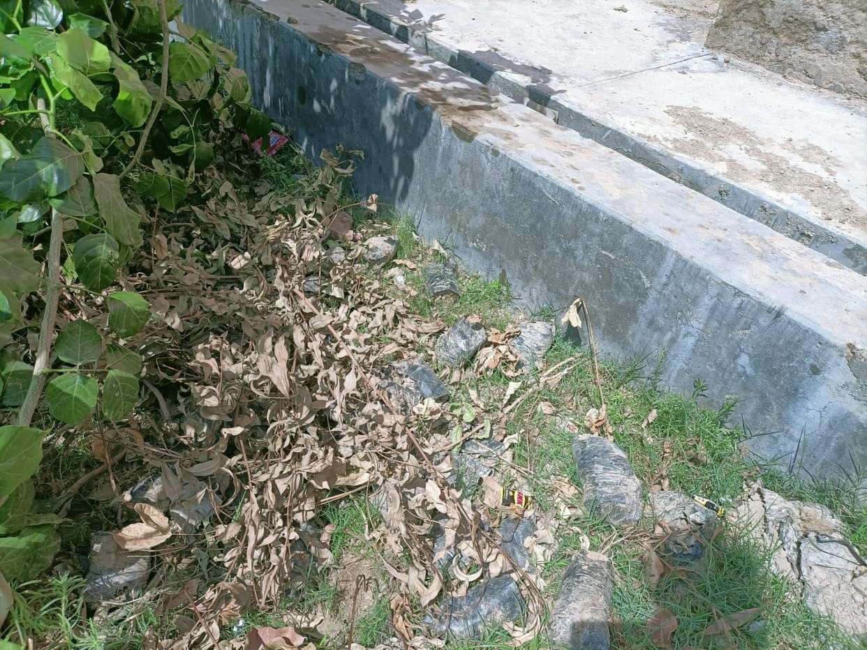 Auraiya, Plants without being thrown away, dried up unnoticed
