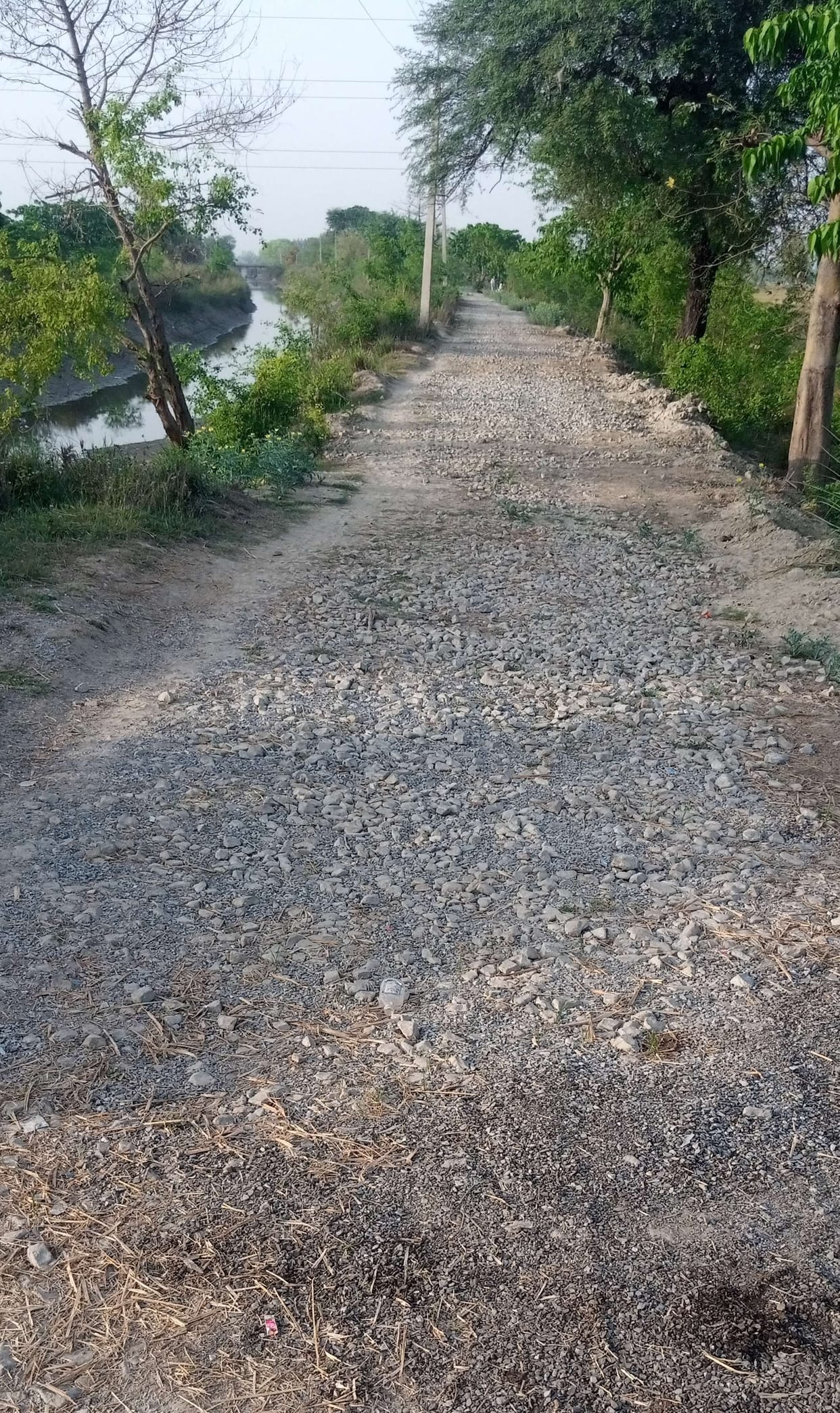 17.13 crore lifesaving to 12 unfinished roads of the district, will be completed soon