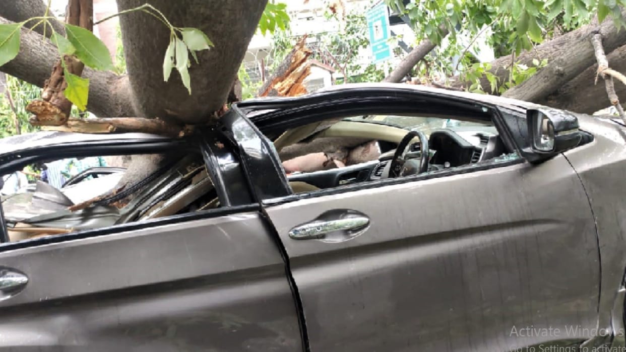 Tree fell on outer ring road, seven vehicles damaged, jammed for many hours
