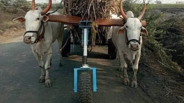 Rolling support installed in bullock cart to help bullocks, people are commenting on social media