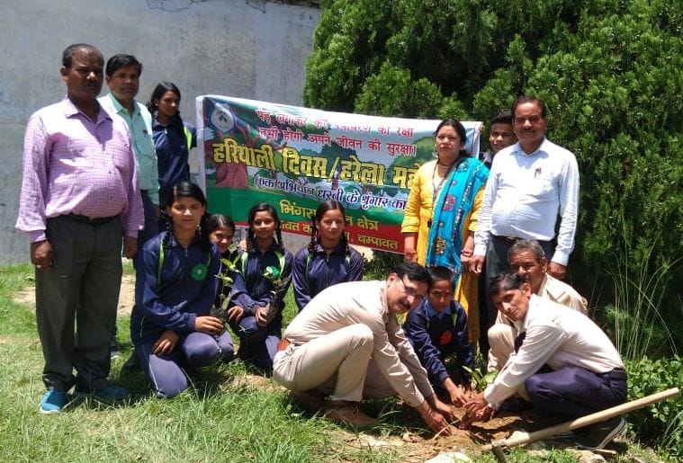 Plantation in Champawat