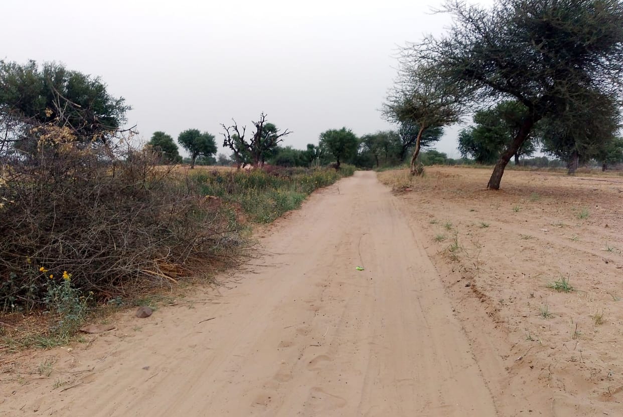 Nanwa-Satnali road will be built at a cost of 2.27 crores