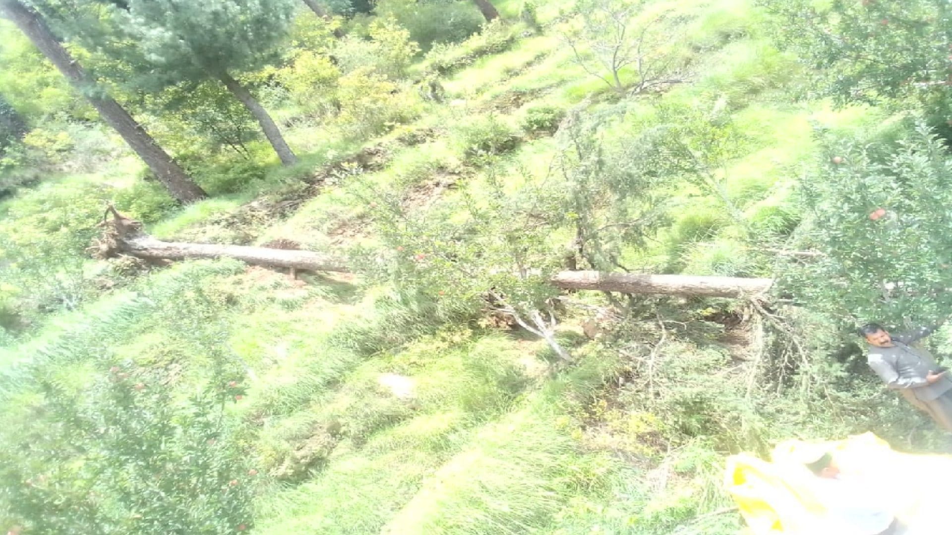 Himachal Weather Update, Waterlogging in Atal Tunnel due to heavy rains, nine houses and seven cowsheds damaged in the state, 27 roads stalled