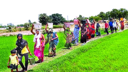 प्रतीकात्मक तस्वीर।