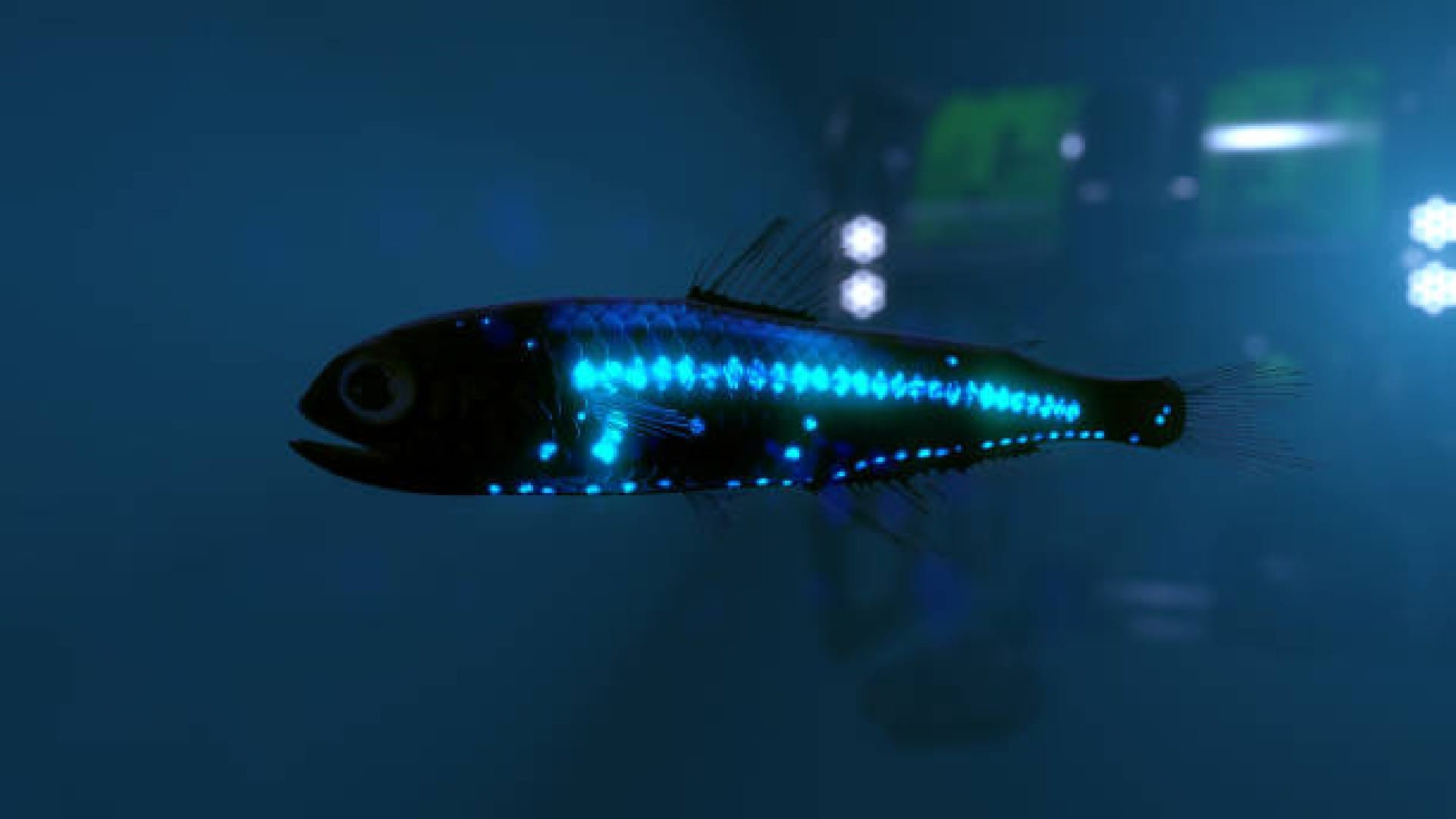 China Scientists Discovered Robot Fish Who Eat Up Microplastics in Oceans Know How
