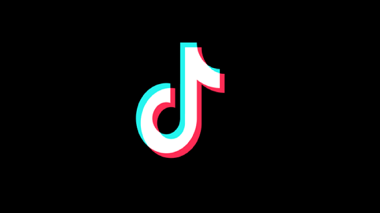 TikTok completely banned in Montana, first US state to ban