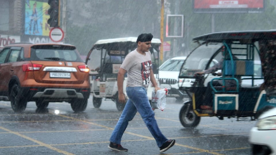 Monsoon will be active again in Punjab-Haryana on July 19