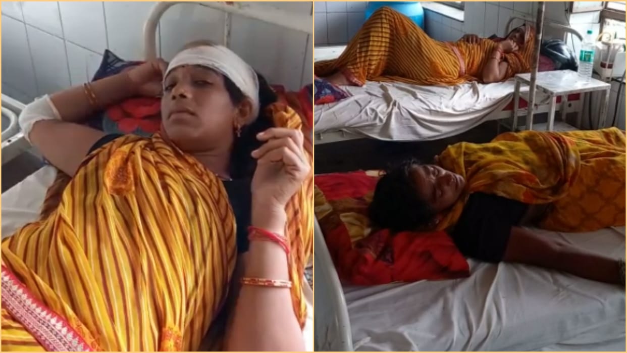 four injured in attack with sticks for cutting green tree in Dholpur