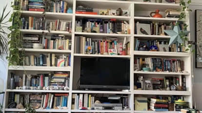 तस्वीर में छिपी बिल्ली खोज लिया तो बना लेंगे रिकाॅर्ड