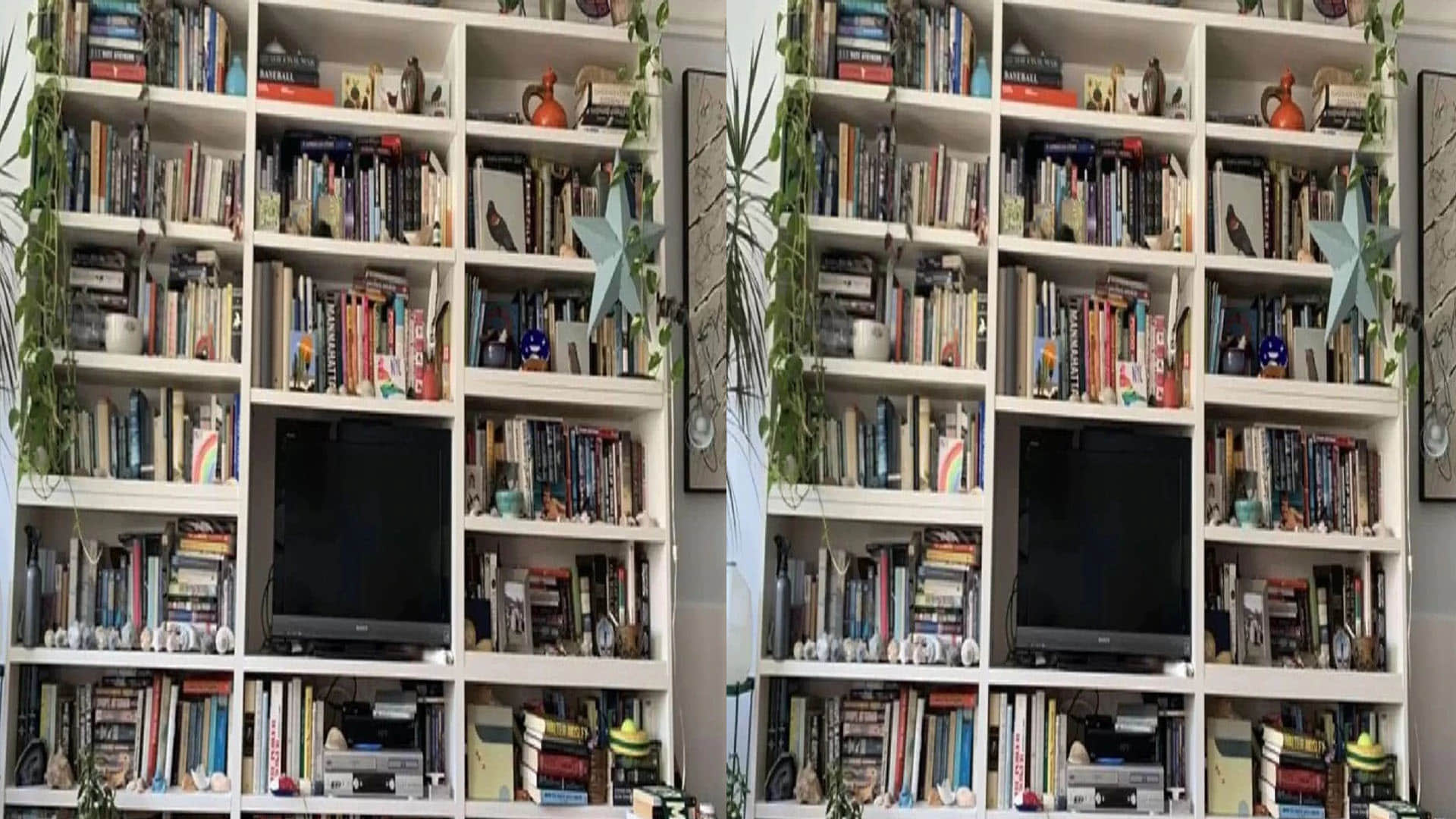 Optical Illusion Test cat hidden in the picture puzzle google trends today news in hindi