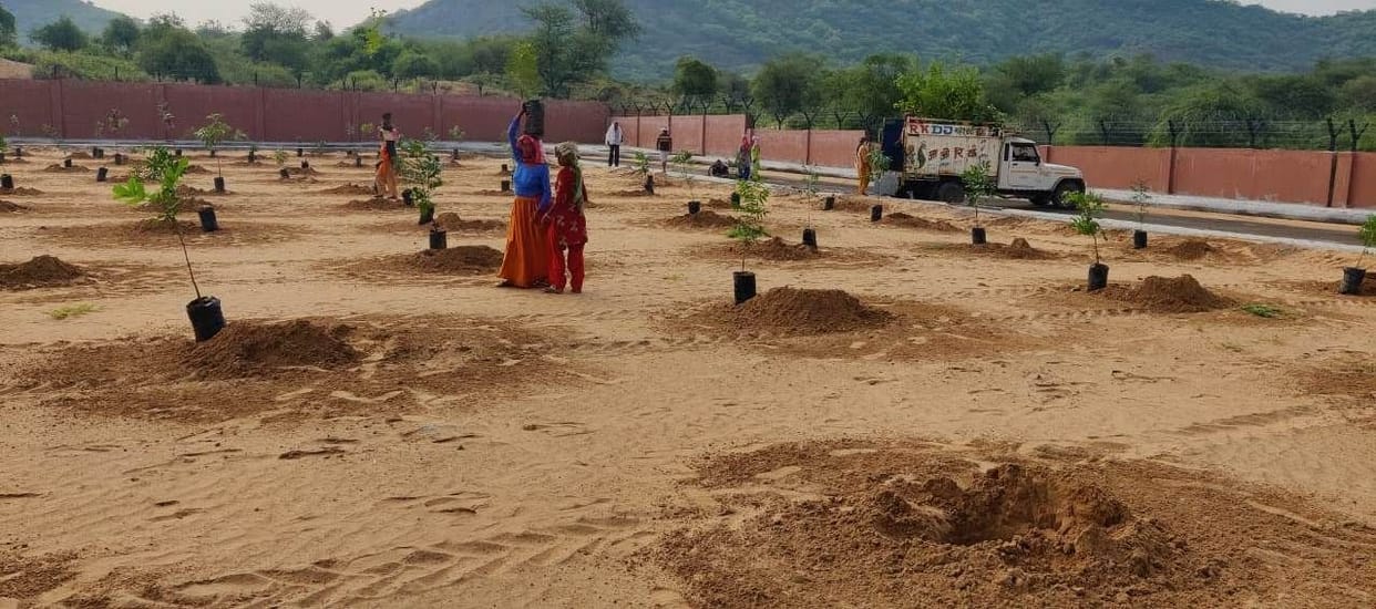 To increase the forest area, 14 lakh plants of 92 species are being prepared
