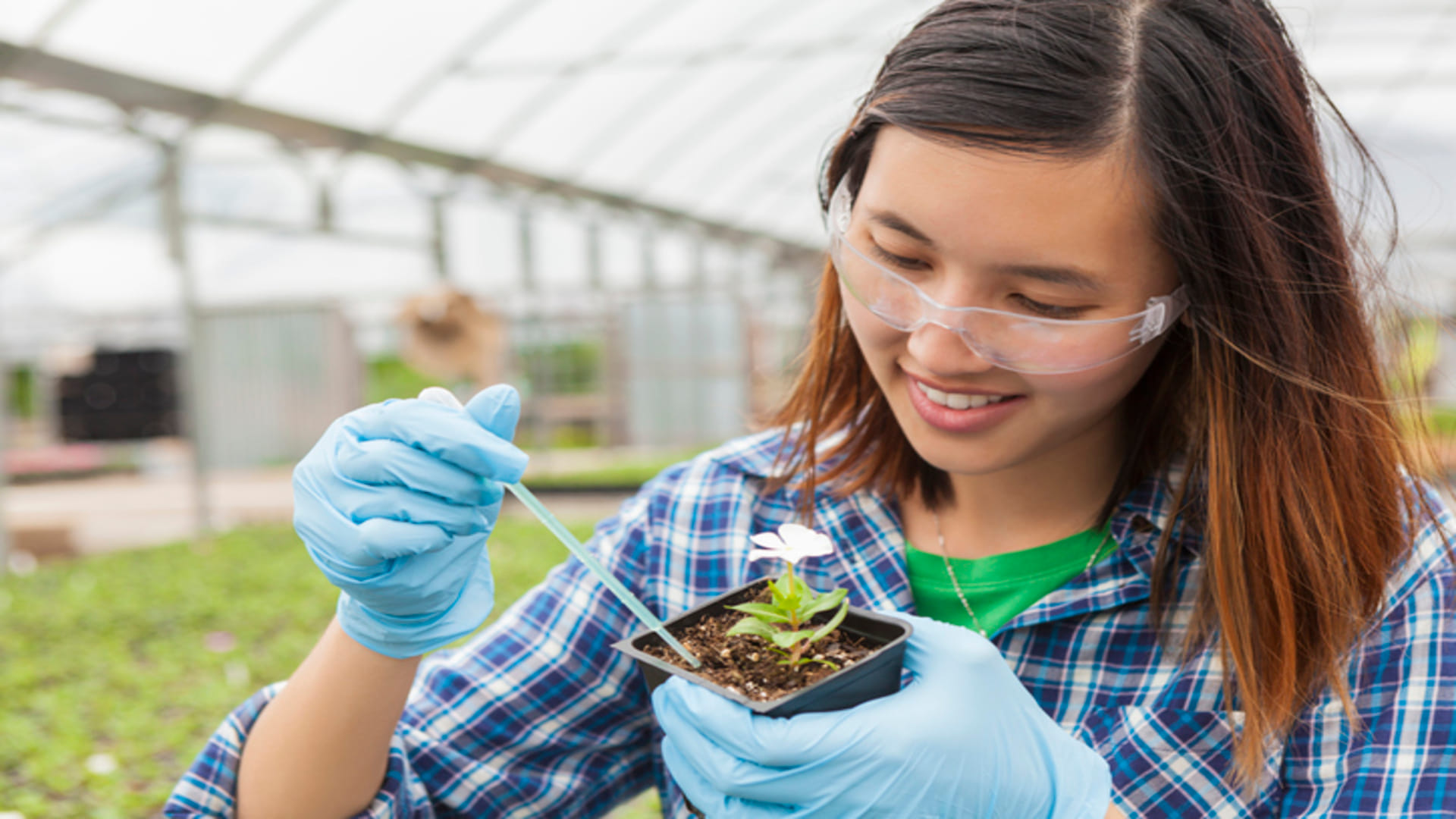 Business Ideas you can earn 50 thousand per month after starting Soil Testing Lab in Your Village