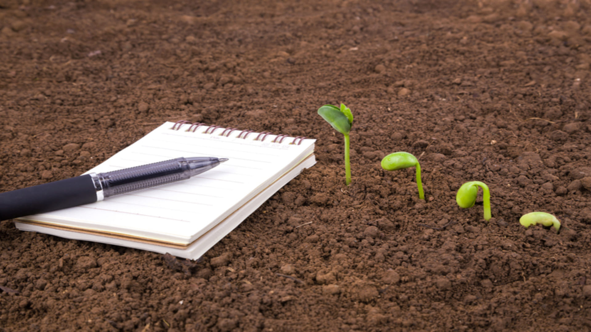 Business Ideas you can earn 50 thousand per month after starting Soil Testing Lab in Your Village