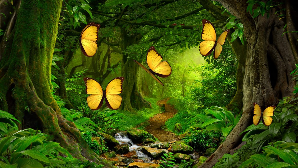 Weekend Travel Tips Best Forest to Visit in Delhi at Weekend in Hindi
