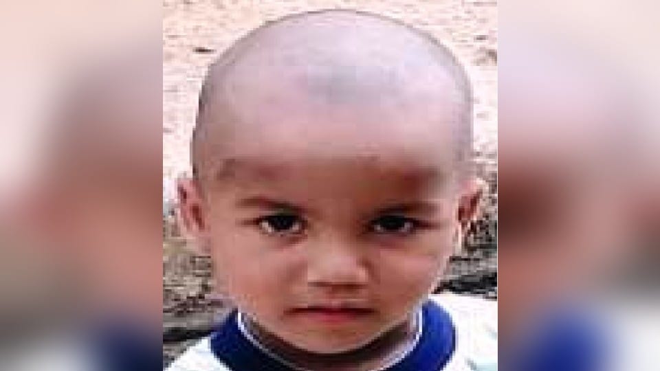 Four-year-old boy dies after falling from e-rickshaw in Kasganj