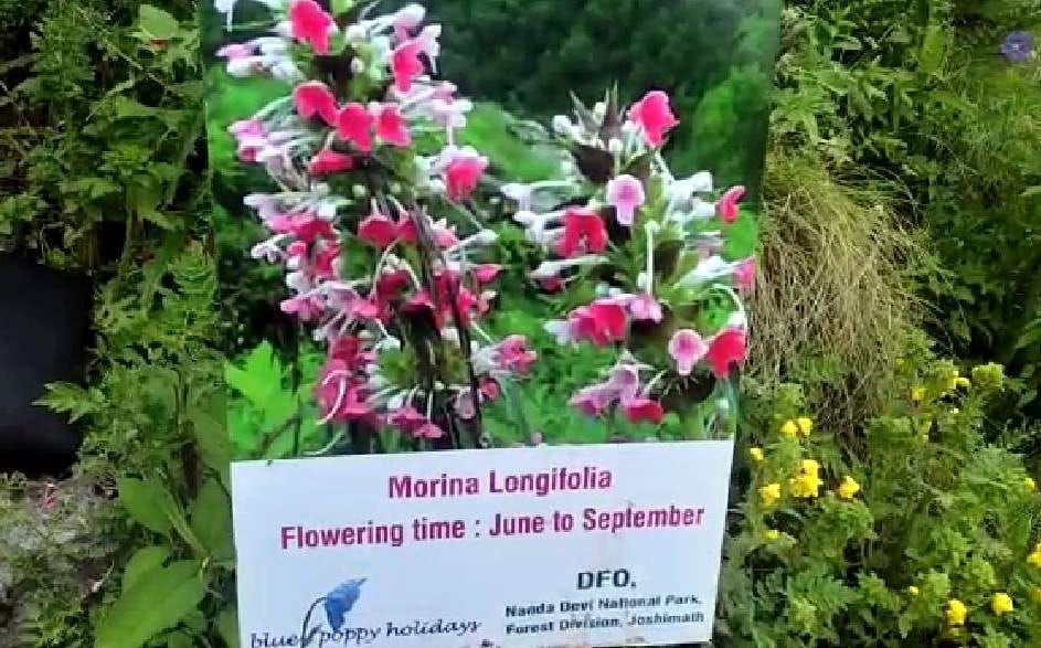 Plaques of names of flowers planted in the valley