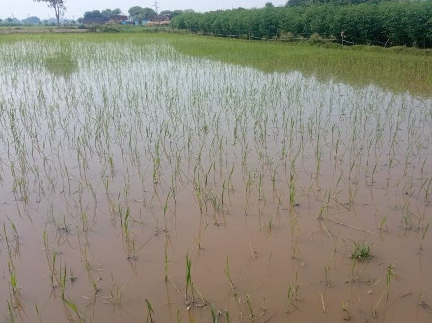 Hathras: When it rained, water filled many areas