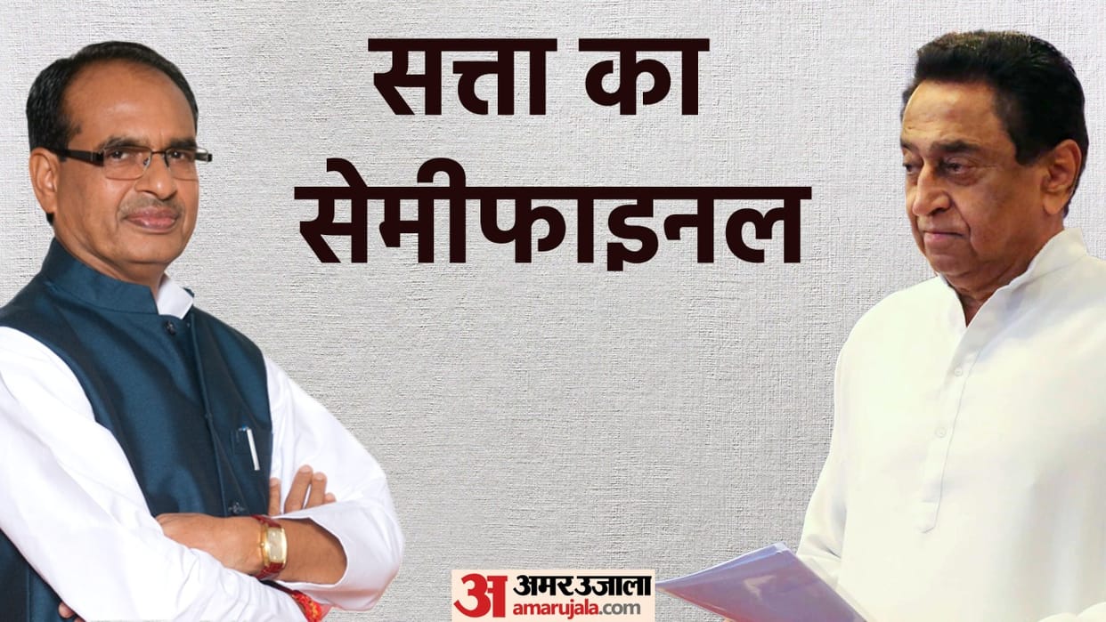 MP Local Body Election: Congress on three in 11 municipal corporations, BJP strong on two, AAP also in competition in Singrauli