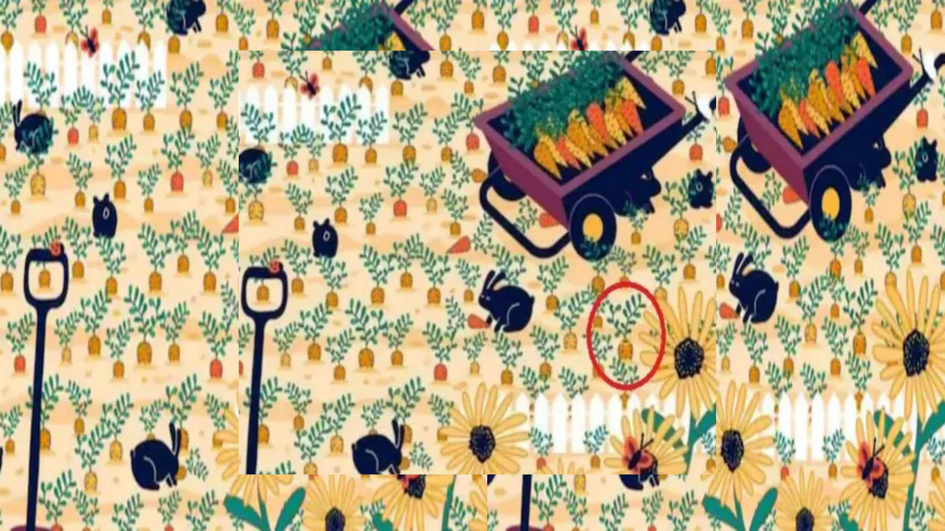 Optical Illusion Can You Find Diamond Ring In optical illusion Viral Photo google trends news