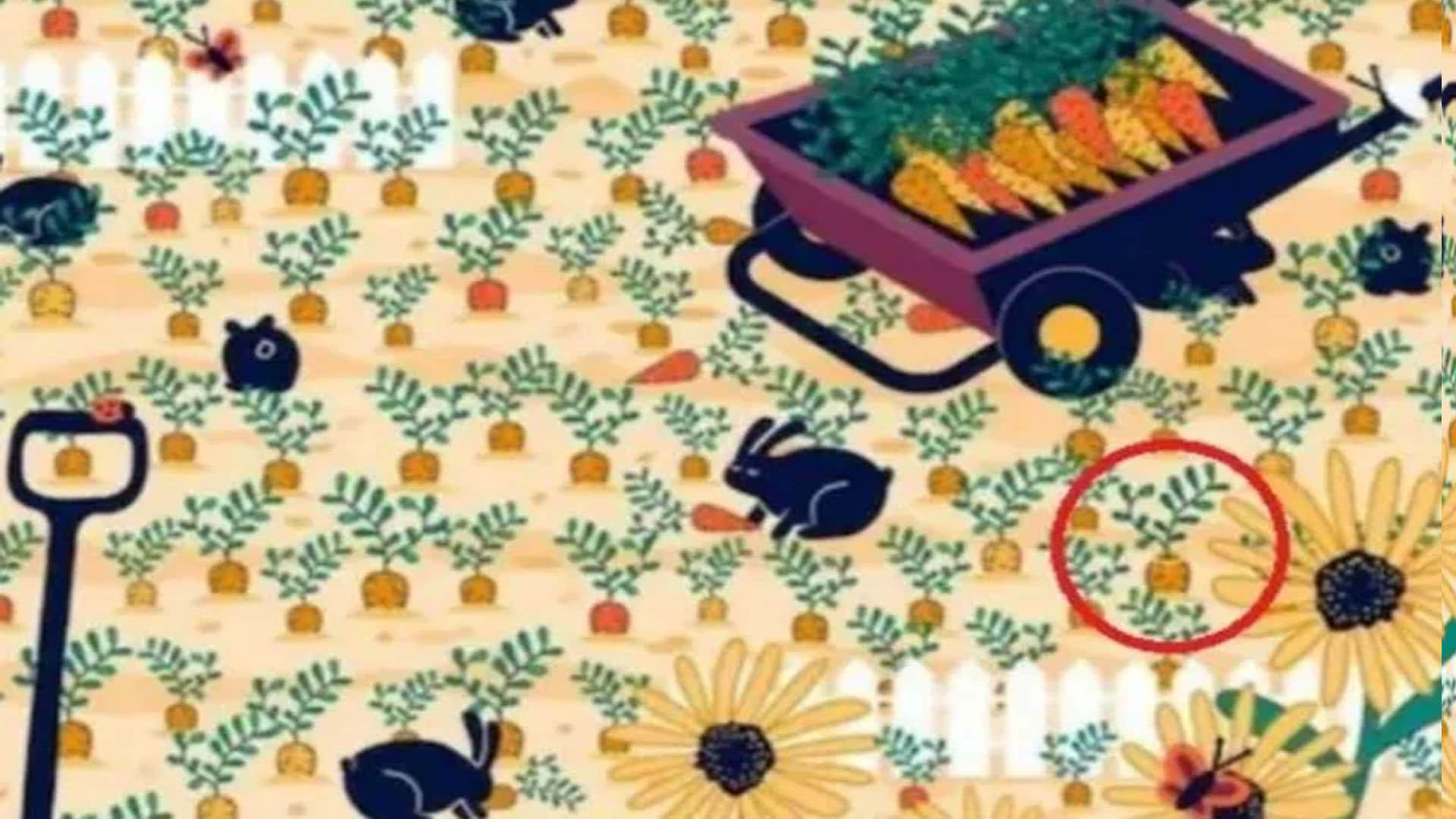 Optical Illusion Can You Find Diamond Ring In optical illusion Viral Photo google trends news