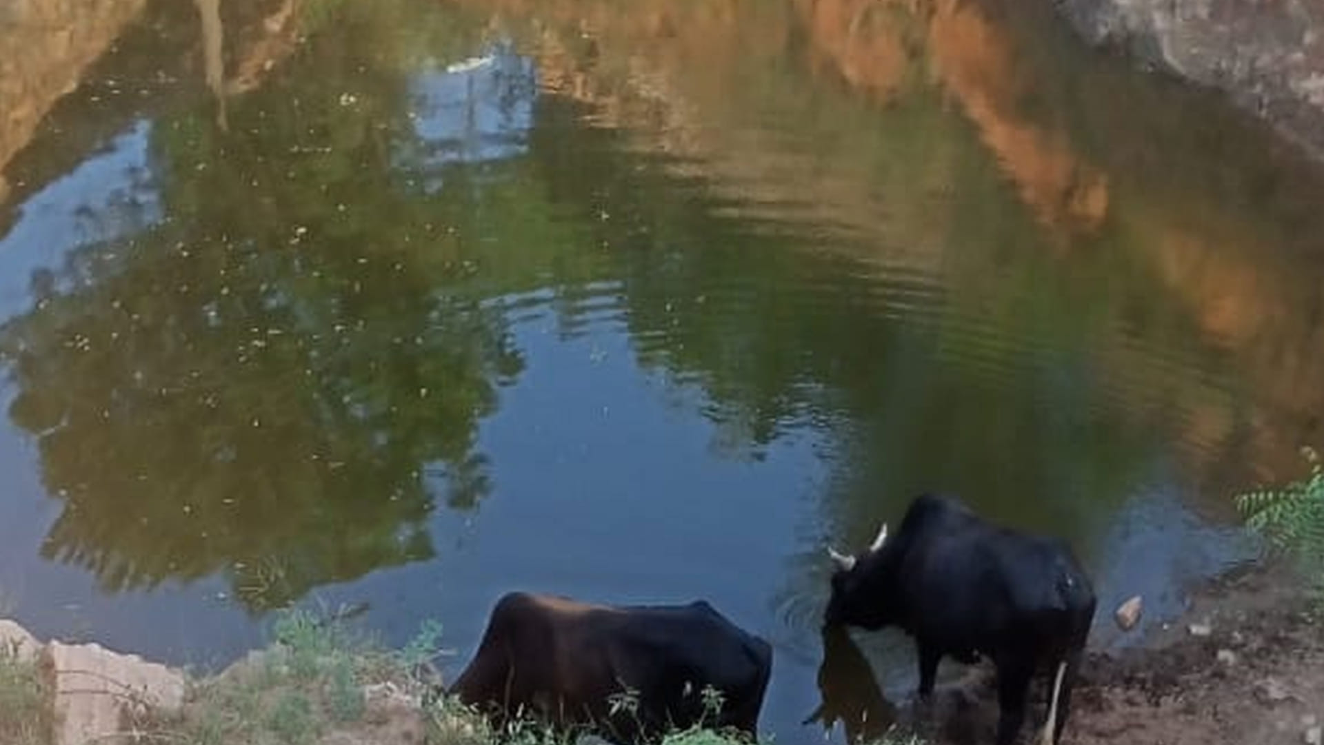 Kalluram of Haryana made a pond by cutting stones on a hill of 4 thousand feet high in 50 years