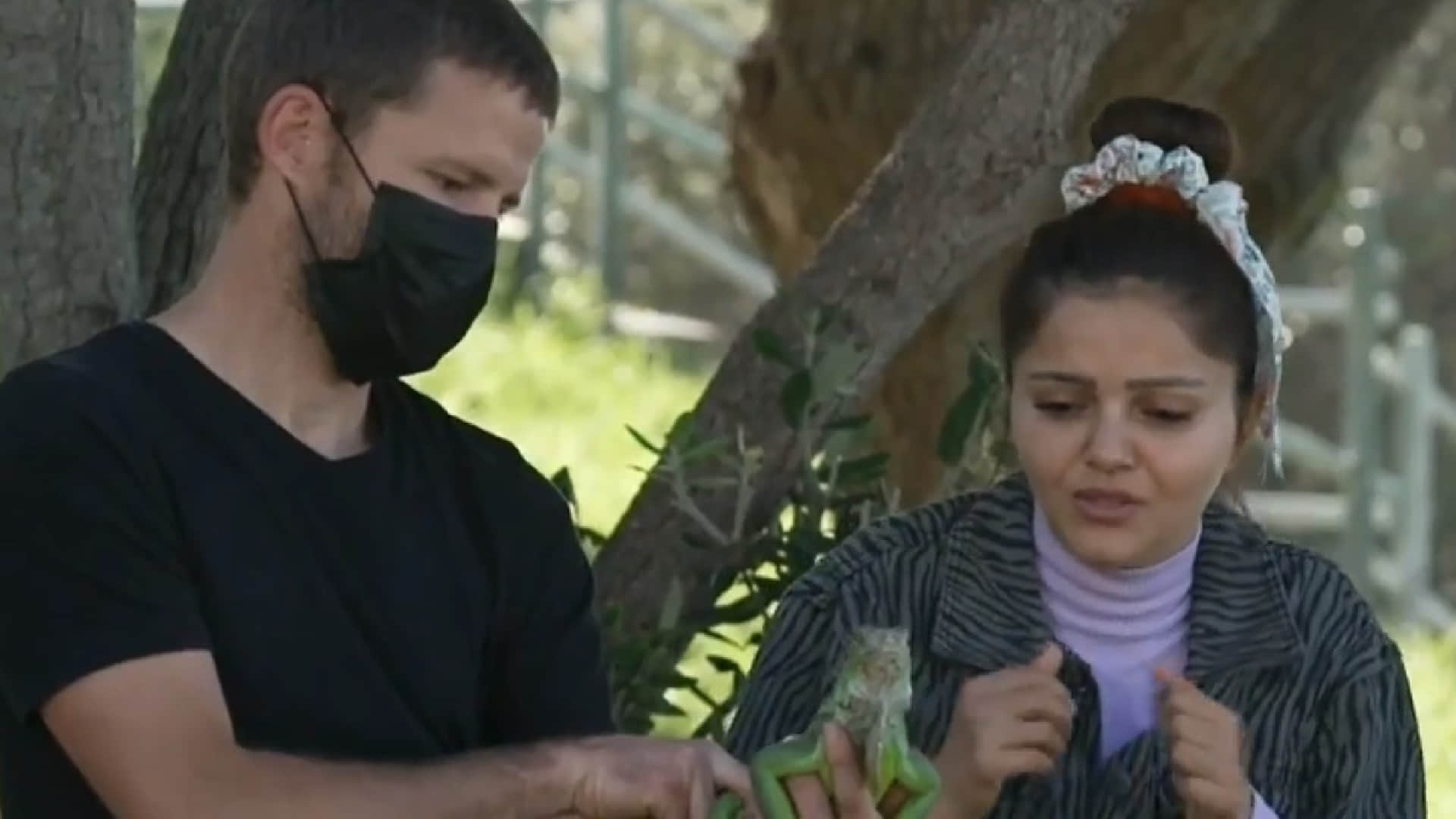 khatron ke khiladi 12 Rohit Shetty makes Rubina Dilaik to kiss iguana after he saw Abhinav Shukla in his dream