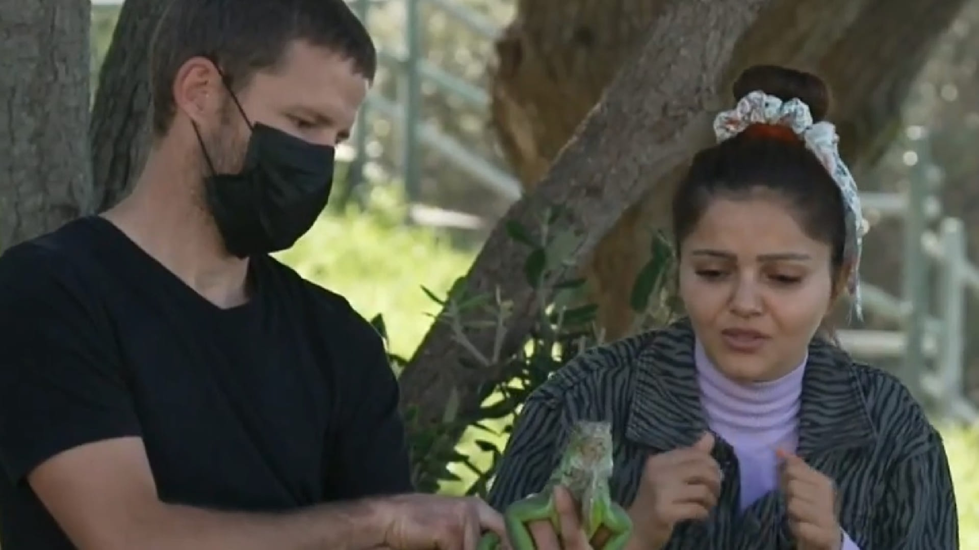 khatron ke khiladi 12 Rohit Shetty makes Rubina Dilaik to kiss iguana after he saw Abhinav Shukla in his dream