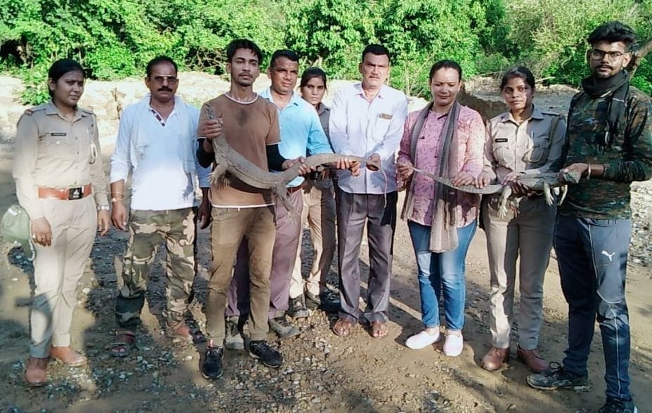 48 snakes left in the forest